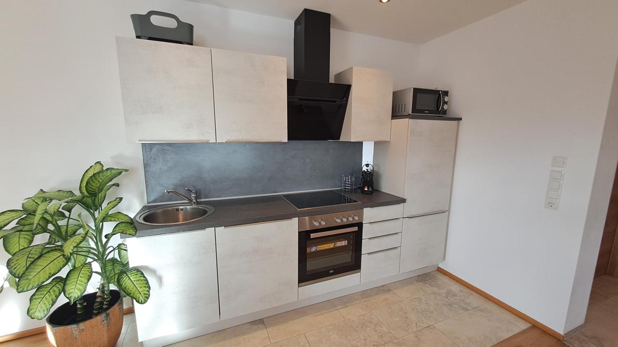 Panorama Appartements Filzerhof 티롤 키르흐베르크 외부 사진